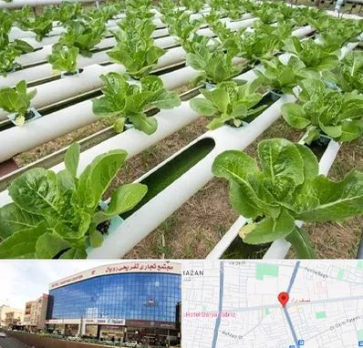 فروش تجهیزات هیدروپونیک در نصف راه تبریز
