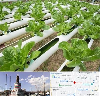 فروش تجهیزات هیدروپونیک در کارگر جنوبی 