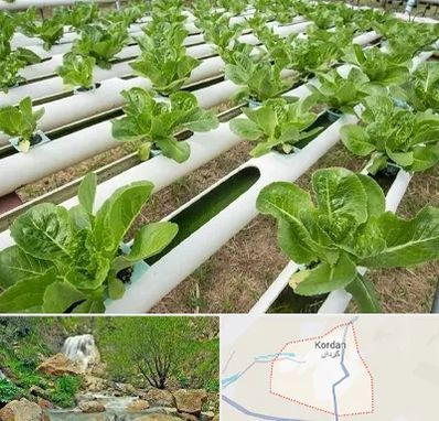 فروش تجهیزات هیدروپونیک در کردان