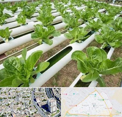 فروش تجهیزات هیدروپونیک در قاسم آباد مشهد 