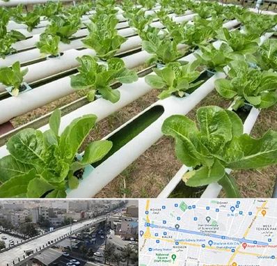 فروش تجهیزات هیدروپونیک در فرجام 