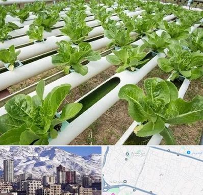 فروش تجهیزات هیدروپونیک در ازگل