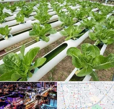 فروش تجهیزات هیدروپونیک در منظریه رشت 