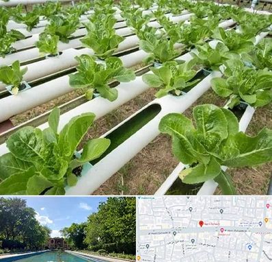 فروش تجهیزات هیدروپونیک در هشت بهشت اصفهان 