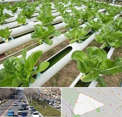 فروش تجهیزات هیدروپونیک در احمدآباد مشهد 