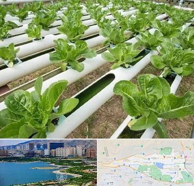 فروش تجهیزات هیدروپونیک در منطقه 22 تهران 