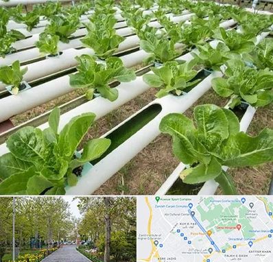 فروش تجهیزات هیدروپونیک در قدوسی غربی شیراز 