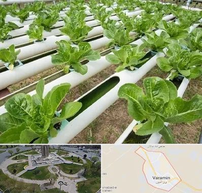 فروش تجهیزات هیدروپونیک در ورامین
