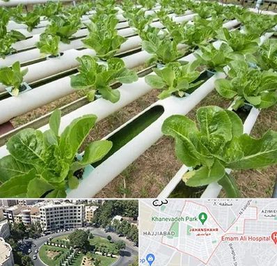 فروش تجهیزات هیدروپونیک در جهانشهر کرج 