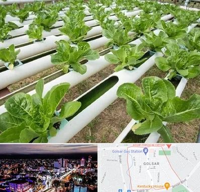 فروش تجهیزات هیدروپونیک در گلسار رشت 