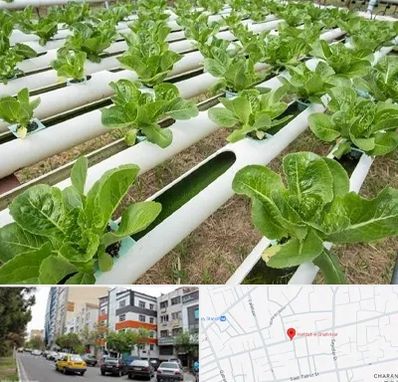 فروش تجهیزات هیدروپونیک در هفده شهریور تبریز