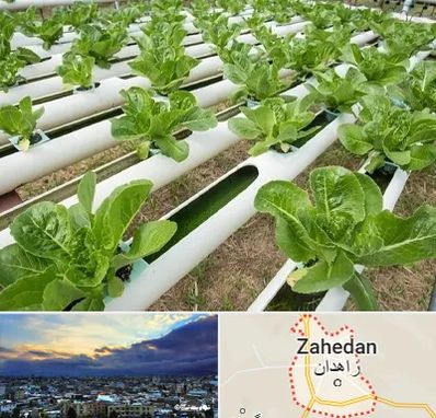 فروش تجهیزات هیدروپونیک در زاهدان