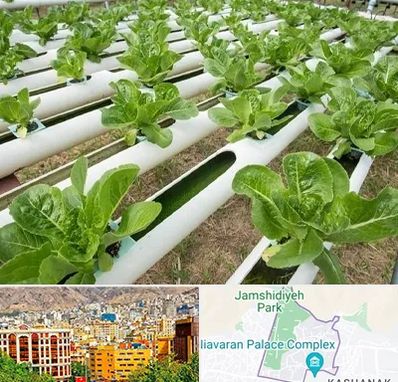 فروش تجهیزات هیدروپونیک در نیاوران 