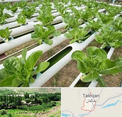 فروش تجهیزات هیدروپونیک در طالقان