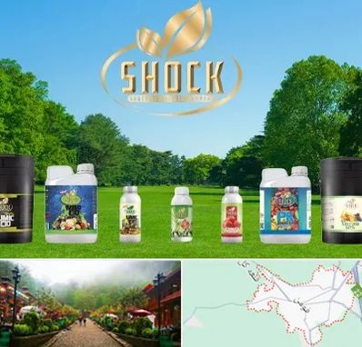 نمایندگی کود شوک در فومن