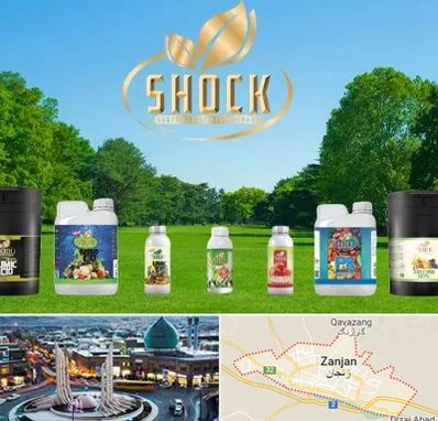 نمایندگی کود شوک در زنجان