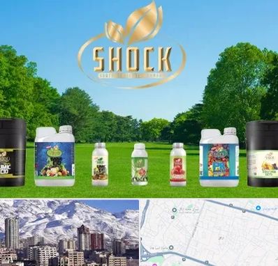 نمایندگی کود شوک در ازگل