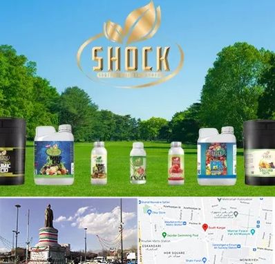 نمایندگی کود شوک در کارگر جنوبی 