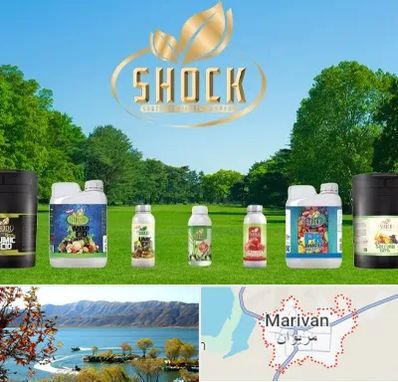 نمایندگی کود شوک در مریوان