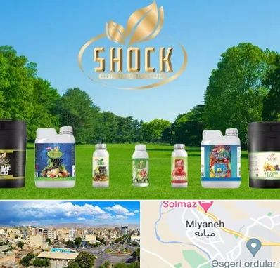 نمایندگی کود شوک در میانه