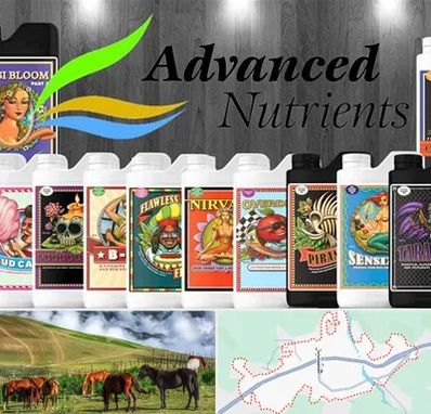 نمایندگی کود ادونس در تالش