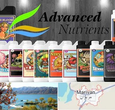 نمایندگی کود ادونس در مریوان