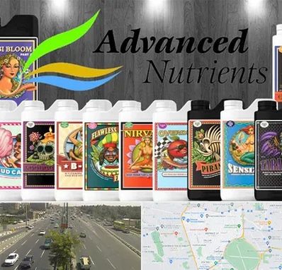 نمایندگی کود ادونس در منطقه 17 تهران 