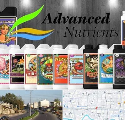 نمایندگی کود ادونس در ضیابری رشت 