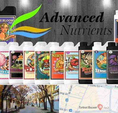 نمایندگی کود ادونس در تربیت تبریز