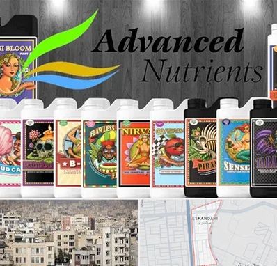 نمایندگی کود ادونس در اسکندری