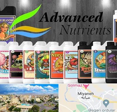 نمایندگی کود ادونس در میانه