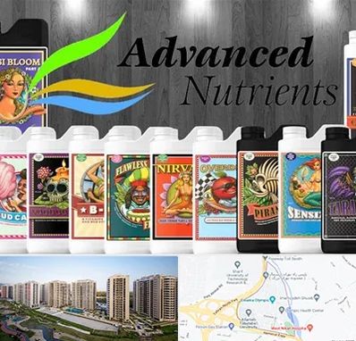 نمایندگی کود ادونس در المپیک 