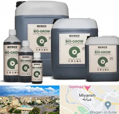 نمایندگی کود بایوبیز در میانه