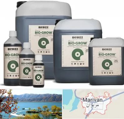 نمایندگی کود بایوبیز در مریوان