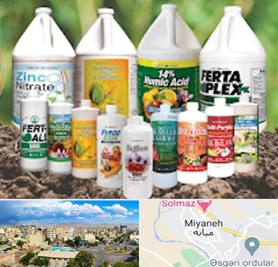 نمایندگی کود گرومور در میانه