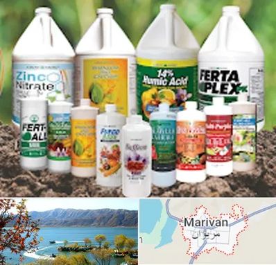 نمایندگی کود گرومور در مریوان