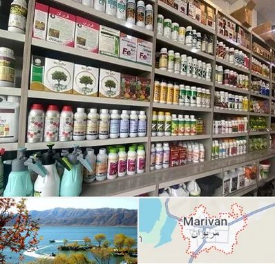 فروشگاه سموم کشاورزی در مریوان