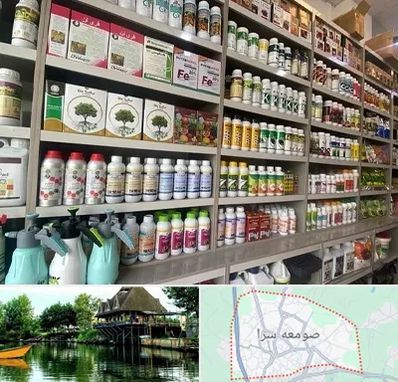 فروشگاه سموم کشاورزی در صومعه سرا