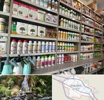 فروشگاه سموم کشاورزی در الیگودرز