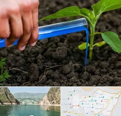 فروشگاه سم و کود کشاورزی در ایلام