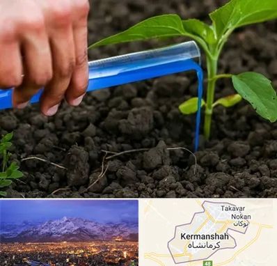 فروشگاه سم و کود کشاورزی در کرمانشاه