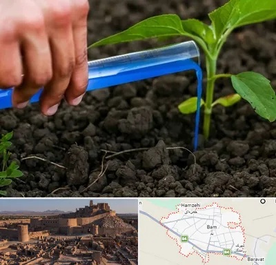 فروشگاه سم و کود کشاورزی در بم