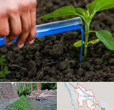 فروشگاه سم و کود کشاورزی در سراوان