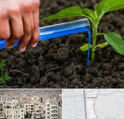 فروشگاه سم و کود کشاورزی در اسکندری