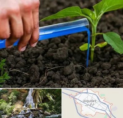 فروشگاه سم و کود کشاورزی در الیگودرز