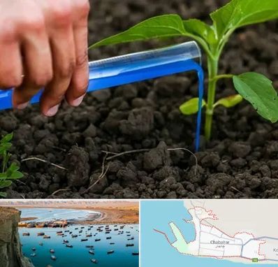 فروشگاه سم و کود کشاورزی در چابهار