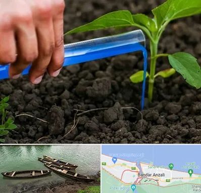 فروشگاه سم و کود کشاورزی در بندر انزلی