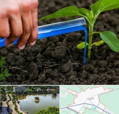 فروشگاه سم و کود کشاورزی در لنگرود