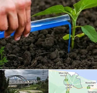 فروشگاه سم و کود کشاورزی در چالوس