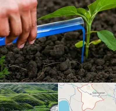 فروشگاه سم و کود کشاورزی در گچساران